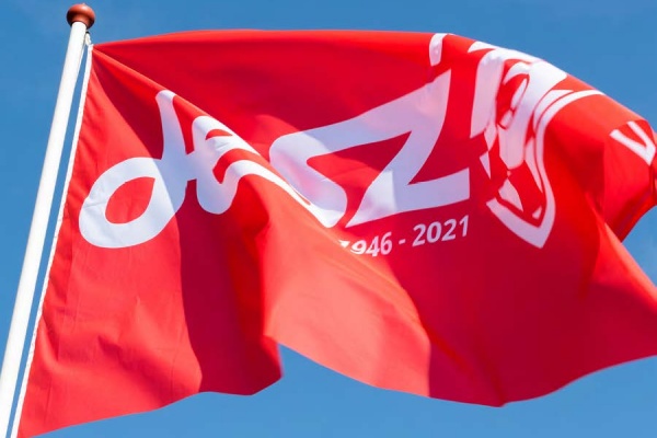 DESZ-dames strijden, maar verliezen bij Blauw-Wit &rsquo;34